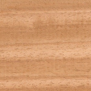 ayous-thermowood-1x1-1-De houtsoorten van onze tuinhuizen