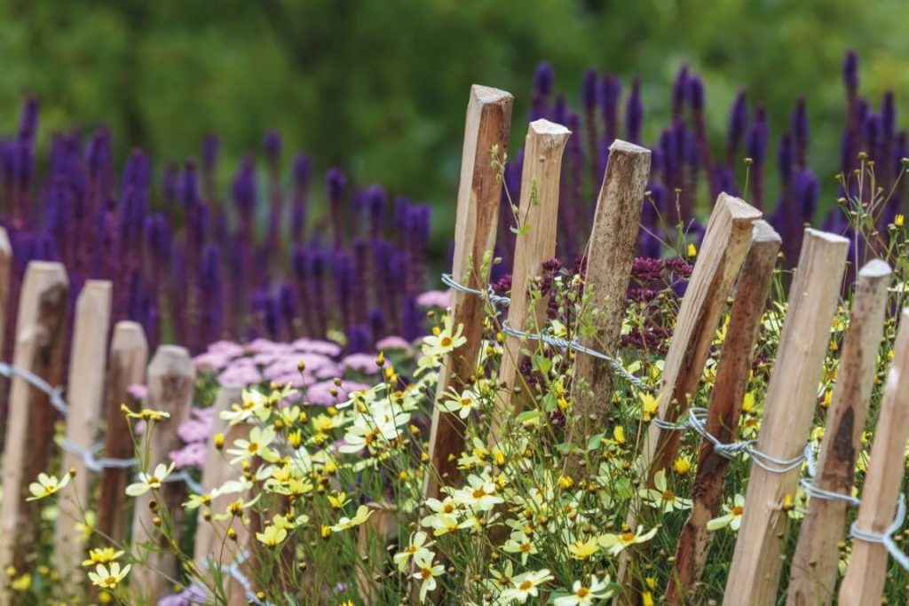 planten-1024x683-Tuinhuizen en bergingen